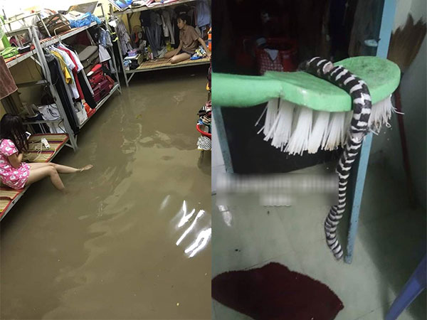 Loạt tình huống 'dở khóc dở cười' của học sinh sinh viên khi đón bão Usagi: Được nghỉ học nhưng vẫn tai ương lắm!