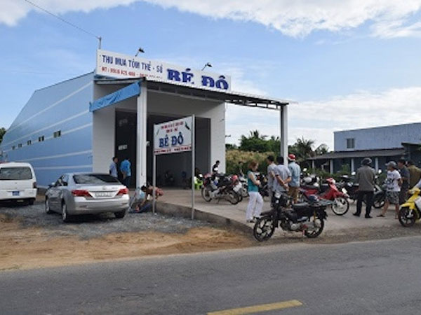 Chủ vựa tôm báo bị trộm hơn 1 tỷ