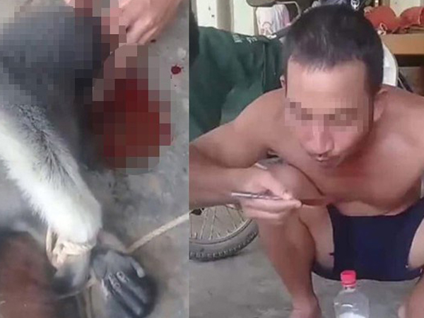 Nam thanh niên đăng ảnh giết khỉ lên facebook 'để ra oai với bạn bè và câu like'