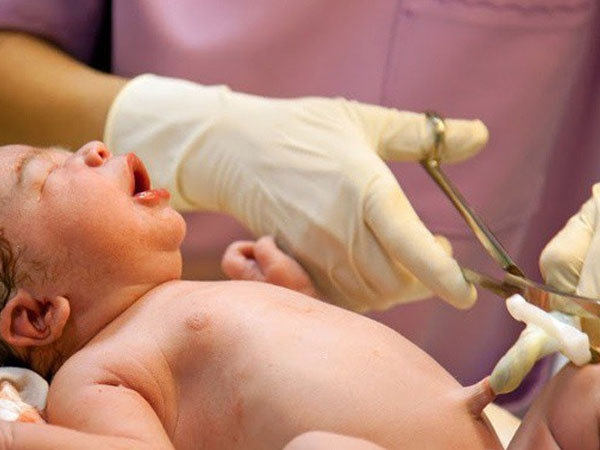 Điều bất ngờ ít ai biết về dây rốn - lý do vì sao nhất định phải chậm kẹp dây rốn sau sinh