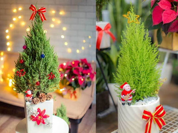Mốt chơi 'cây thông' lạ mùa Noel năm nay, chủ shop thu 50 triệu/ngày