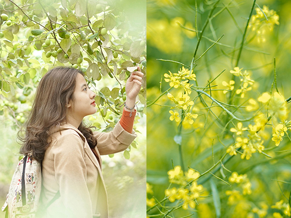 Trường ĐH duy nhất Việt Nam có vườn táo, vườn hoa cải được phép ăn tẹt ga, sống ảo cực chất chỉ với 15 nghìn
