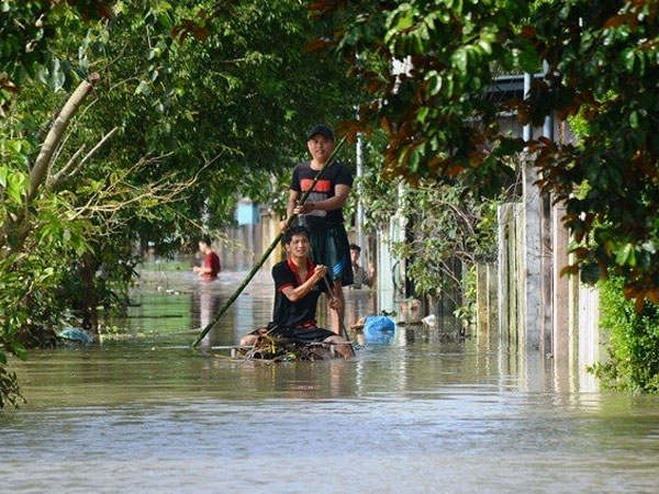 Mưa tạnh từ lâu vẫn lạch bạch trong biển nước
