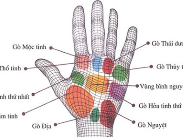 Nhìn gò tay, đoán tính cách, tính tương lai làm chủ hay làm thuê