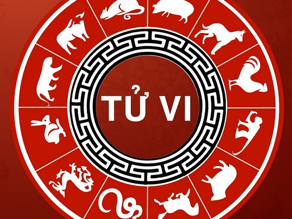 Tử vi 12 con giáp ngày 16/12: Tuổi nào sẽ tiền đầy túi vào hôm nay?