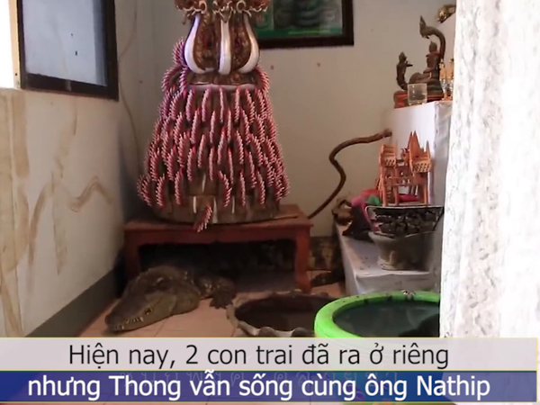 Video: Người đàn ông nuôi cá sấu trong nhà như thú cưng suốt 20 năm