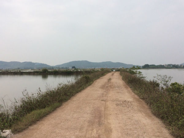 Vụ người phụ nữ đi mua cá nửa đêm bị sát hại ngoài đồng: Người đi cùng nhập viện cấp cứu