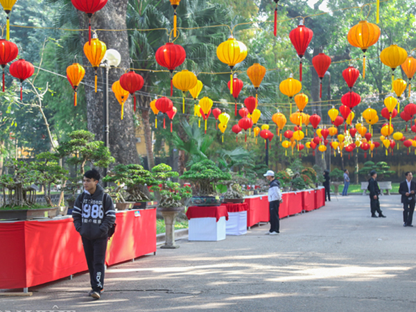 Triển lãm hoa, cây cảnh trăm triệu thu hút người dân Hà Nội