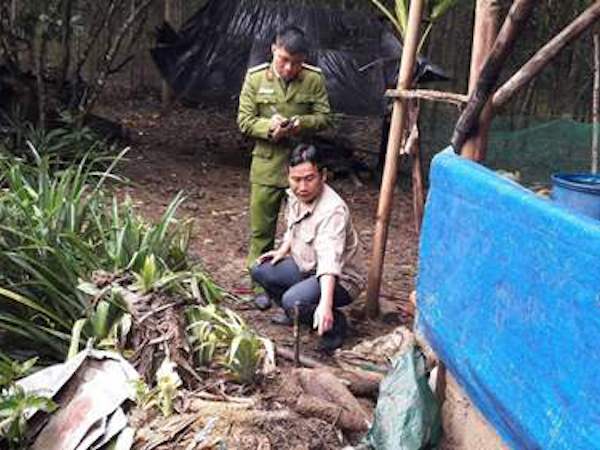 Hầm bom đạn bị vùi lấp trong vườn nhà dân