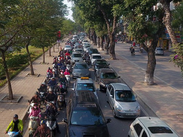 Hà Nội chuẩn bị chặt, dịch chuyển hơn 400 cây xanh trên đường Láng