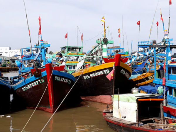 Kịch bản áp thấp nhiệt đới mạnh lên thành bão dịp Tết Dương lịch
