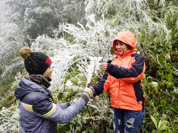 Dự báo thời tiết 30/12: Miền Bắc rét hại, Sa Pa mưa tuyết