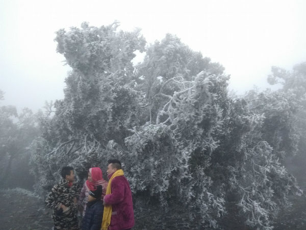 Núi Mẫu Sơn xuống âm 0,6 độ C, tiếp tục có băng giá diện rộng
