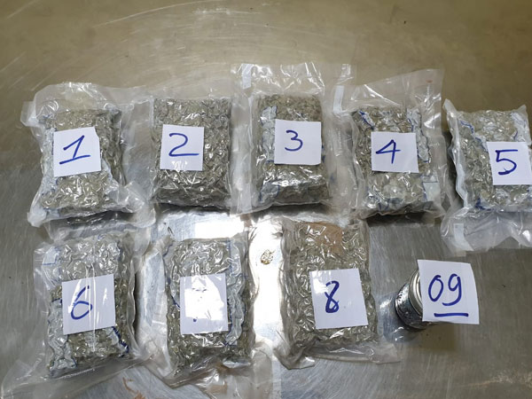 3kg ma túy 'lẩn' trong quần áo, thực phẩm... tuồn từ Mỹ về Việt Nam