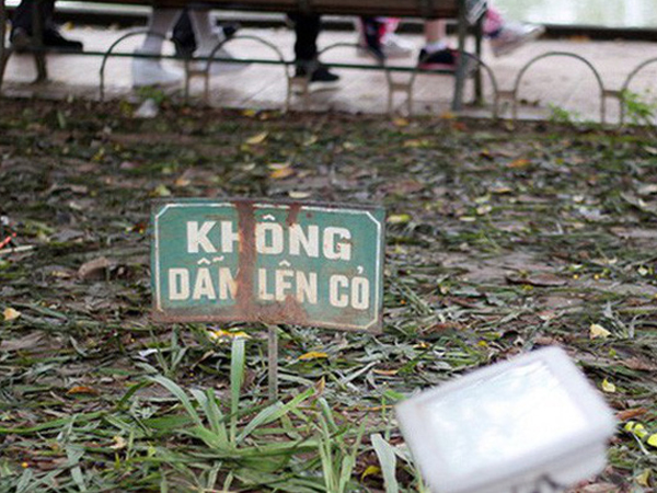 Vườn hoa Hồ Gươm bị 'san phẳng' sau đêm Giao thừa: 'Thực sự, tôi quá xấu hổ!'