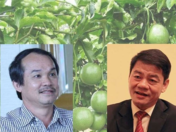 Chuyện về các tỉ phú đôla người Việt ngày đầu năm