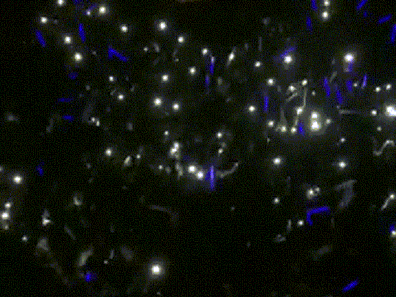 Học sinh Nguyễn Huệ biến lễ hội cuối năm của trường thành concert riêng của BigBang với bản 'hit quốc dân' Haru Haru