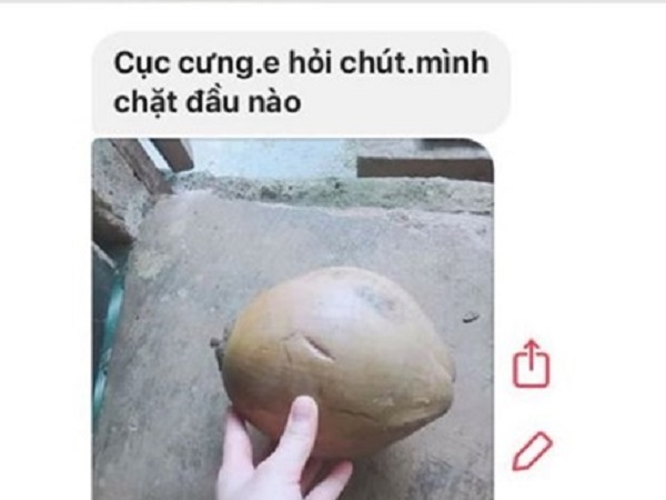Lấy chồng 2 năm đến quả dừa cũng không biết bổ, nhưng điểm khiến cư dân mạng buồn cười là ảnh chụp của cô vợ