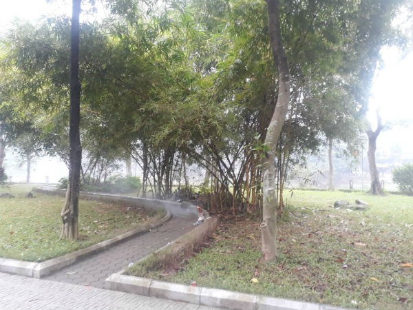 Hà Nội: Phát hiện thi thể nữ giới nằm sấp, không mặc quần trong công viên
