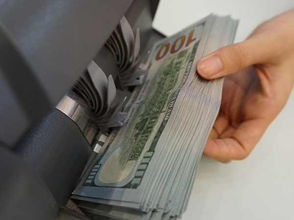 Ngân hàng Nhà nước mua ròng 6 tỷ USD trong năm 2018