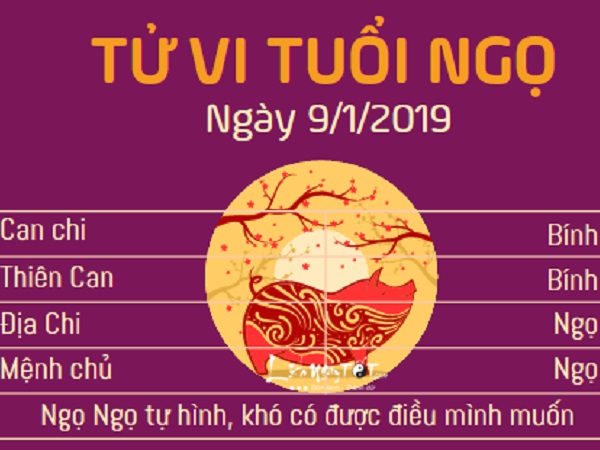 Tử vi thứ 4 ngày 9/1/2019 của 12 con giáp: Tuất có vận trình rộng mở, Ngọ bị kẻ xấu lừa tiền
