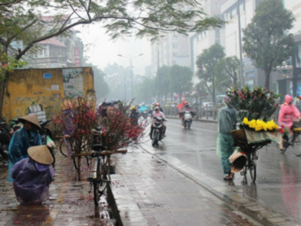 Dự báo thời tiết 10/1: Hà Nội mưa, rét 12 độ
