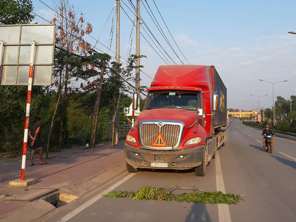 Nhìn cha mẹ bị xe container cán chết, 2 con nhỏ khóc thảm thiết