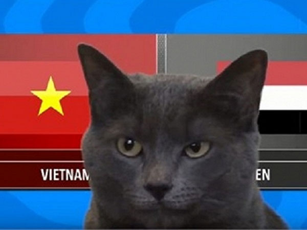 Mèo Cass 'tiên tri' dự đoán sốc kết quả trận Việt Nam - Yemen hôm nay