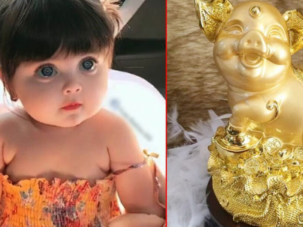 Sinh con năm Kỷ Hợi 2019 là bắt được HEO VÀNG, 60 năm mới có 1 lần: Lời đồn hay SỰ THẬT?