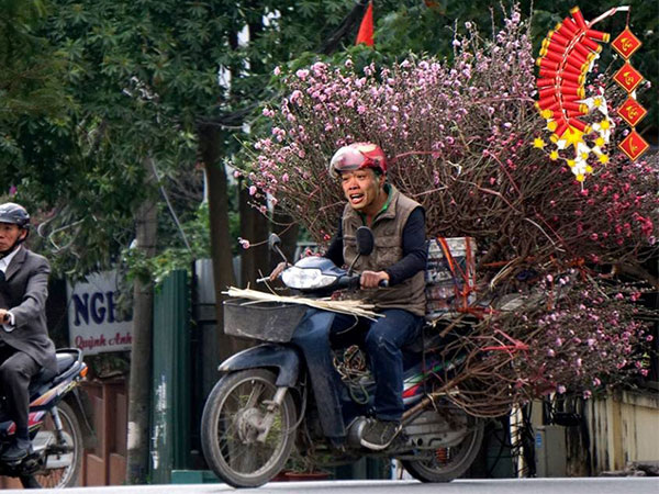 Lo sợ các cầu thủ thi đấu không kịp về ăn Tết, người hâm mộ 'có tâm' làm hẳn bộ ảnh đón xuân hộ thần tượng