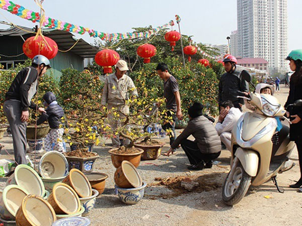 Dự báo thời tiết 25/1: Hà Nội lạnh, Sài Gòn nóng 32 độ
