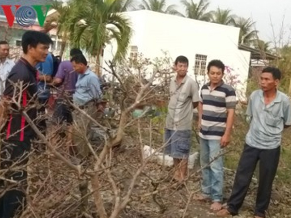 Một lão nông tưới cây cảnh bị điện giật tử vong