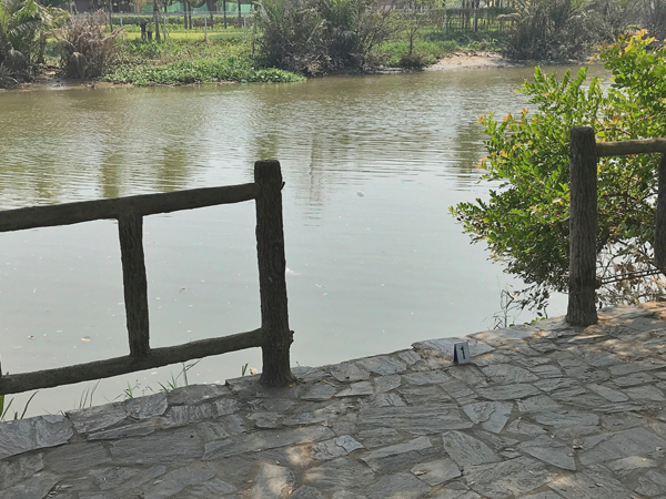 Đi thả cá phóng sinh ngày 23 tháng Chạp, con trai 7 tuổi gào khóc cầu cứu khi mẹ bị trượt chân rơi xuống sông đuối nước