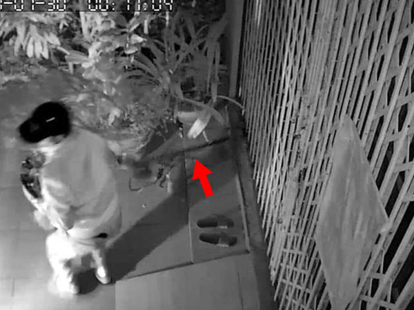 Chọn nhầm nhà để ăn trộm, kẻ gian bỗng dưng phải còng lưng bê vác rồi bất lực bỏ lại chậu mai