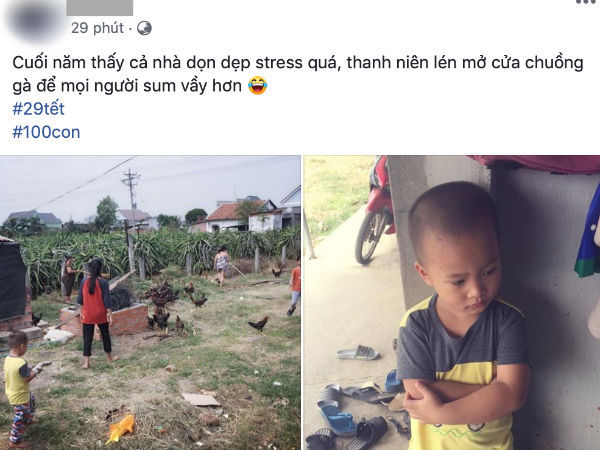 Chuyện hài hước cuối năm: Thấy cả nhà dọn dẹp stress quá, 'thanh niên' 4 tuổi mở chuồng gà hơn 80 con cho mọi người 'sum vầy' hơn
