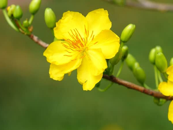 Ảnh bìa bài viết 597387
