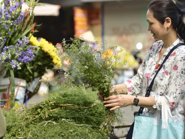 Ngày cuối năm tắm lá mùi già, nét truyền thống đẹp đậm vị Tết của miền Bắc