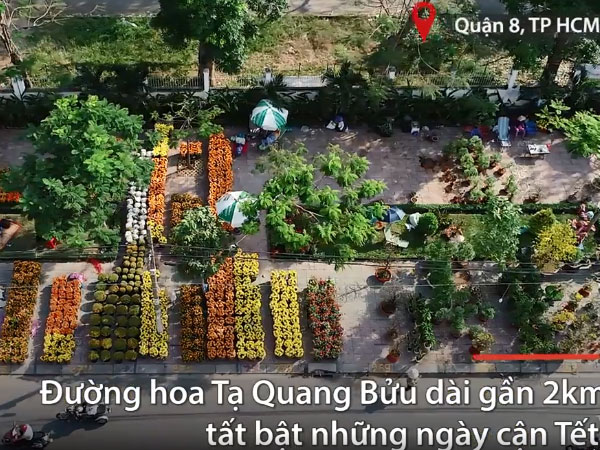 Video: Đường hoa dài gần 2km ở Sài Gòn nhộn nhịp ngày giáp Tết
