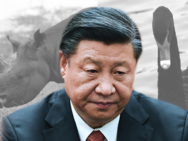 Thiên nga đen và tê giác xám: Hai mối lo Trung Quốc phải đối mặt trong năm 2019