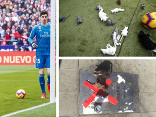 Tấm bia vinh danh Courtois bị CĐV Atletico phỉ nhổ