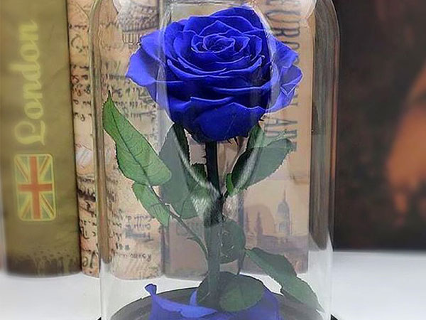 Bông hồng xanh dài gang tay 3,5 triệu: Chồng dám tặng vợ ngày Valentine