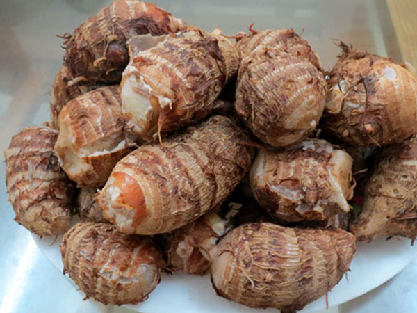 Một ngôi làng không bệnh ung thư, nhờ ăn loại củ vừa nhiều lại rẻ