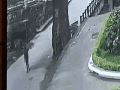 Danh tính nam thanh niên đi bộ bị cành cây gạo gãy rơi trúng tử vong ở Hà Giang