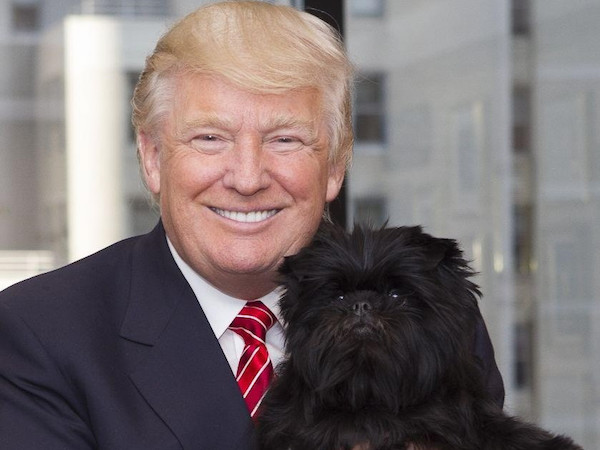 TT Trump phá vỡ truyền thống nuôi chó hơn 120 năm qua ở Nhà Trắng