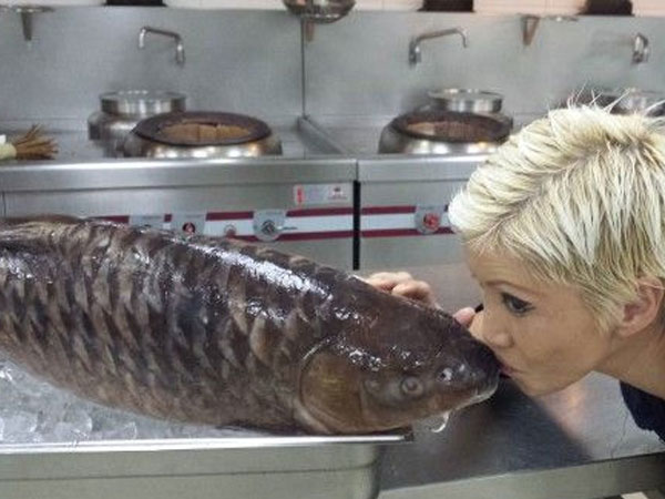 Cá đặc sản được mệnh danh 'vong bất liễu ngư' có giá quý như vàng