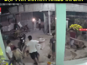 Video: Nhóm côn đồ lao vào nhà đập phá điên cuồng, gia chủ bất lực đứng nhìn