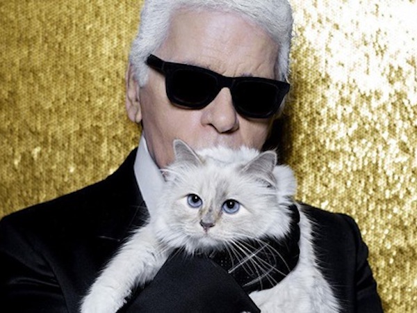 Mèo cưng của Karl Lagerfeld trở thành mèo giàu nhất thế giới với tài sản 3,4 triệu đô