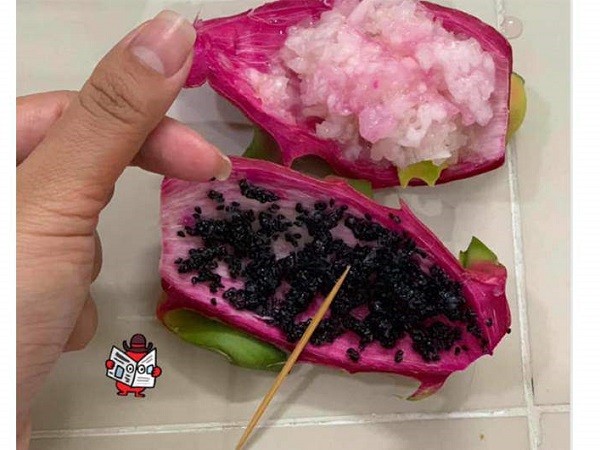 Dồn tình cảm đan chiếc khăn tặng bạn trai, cô gái trẻ bị phong danh hiệu 'nữ hoàng rảnh rỗi' chỉ vì lý do này...