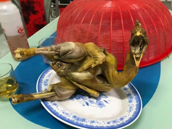 Gà cúng mà tạo hình kiểu như thế này thì đến tổ tiên cũng hãi hùng