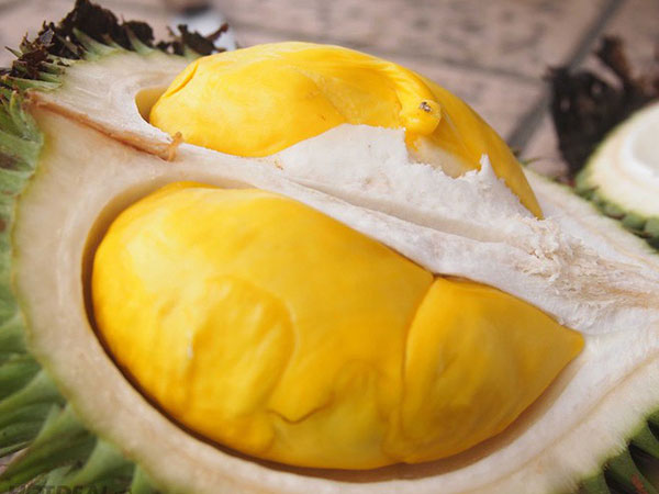 Ăn sầu riêng bạn sẽ đạt được vô vàn những lợi ích chung không tưởng này cho sức khỏe